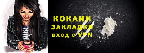 сатива Ельня