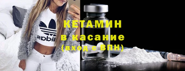 сатива Ельня