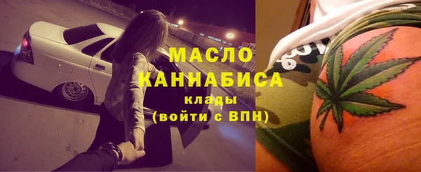 сатива Ельня