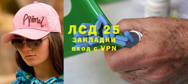 сатива Ельня