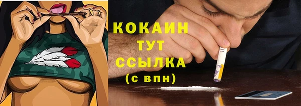 сатива Ельня