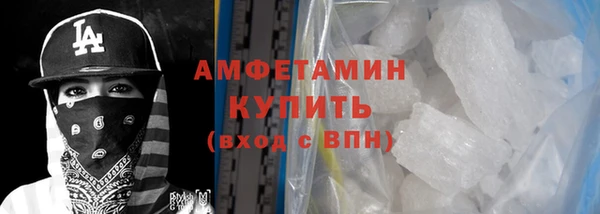 сатива Ельня