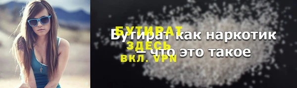 сатива Ельня