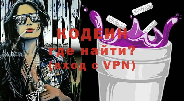 сатива Ельня