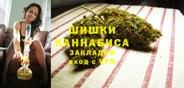 сатива Ельня