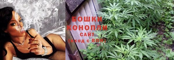 сатива Ельня