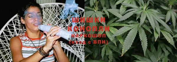 сатива Ельня