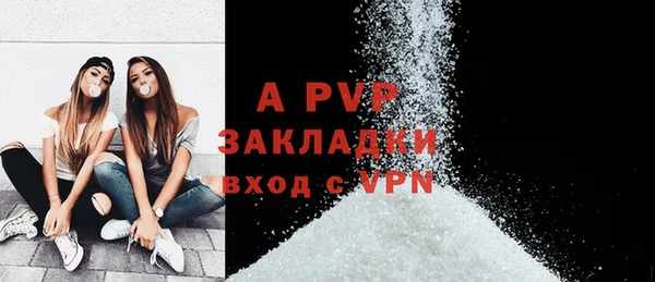 сатива Ельня